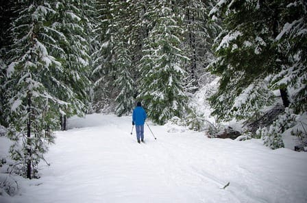 ski de fond