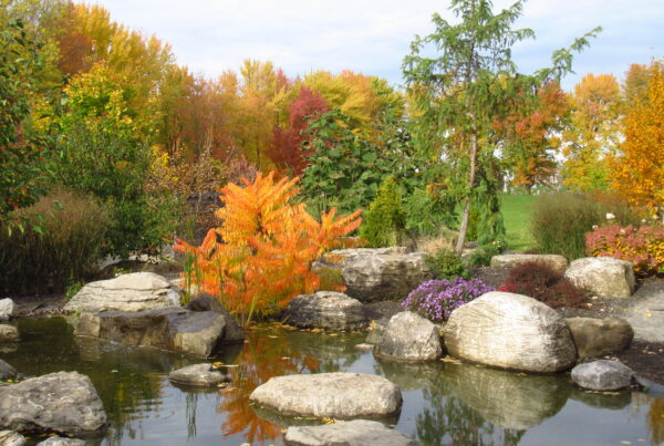 10 octobre parc des cultures saint jacques nouvelle acadie