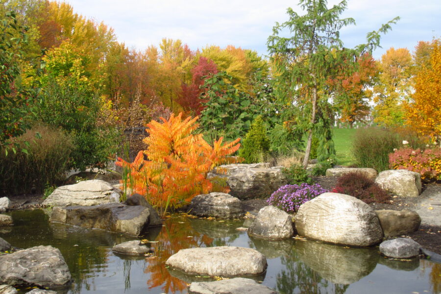 10 octobre parc des cultures saint jacques nouvelle acadie